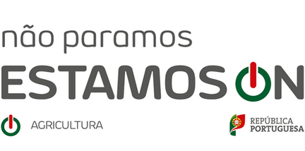 Newsletter n.º 57 - Foto 2